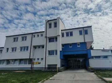 Grubišno polje